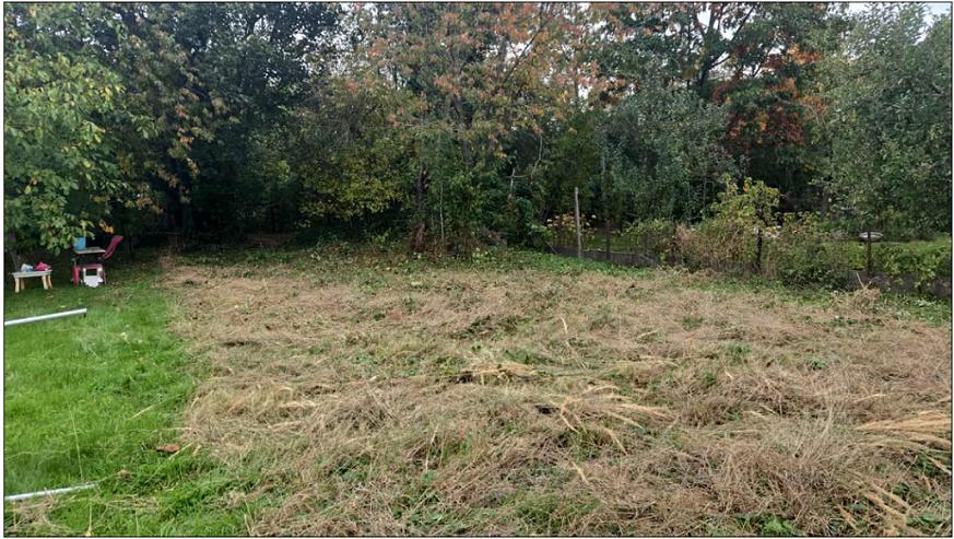 photo 4 du bien 179059