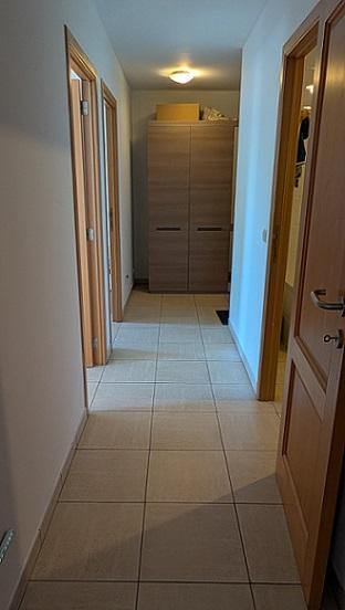 photo 3 du bien 185534